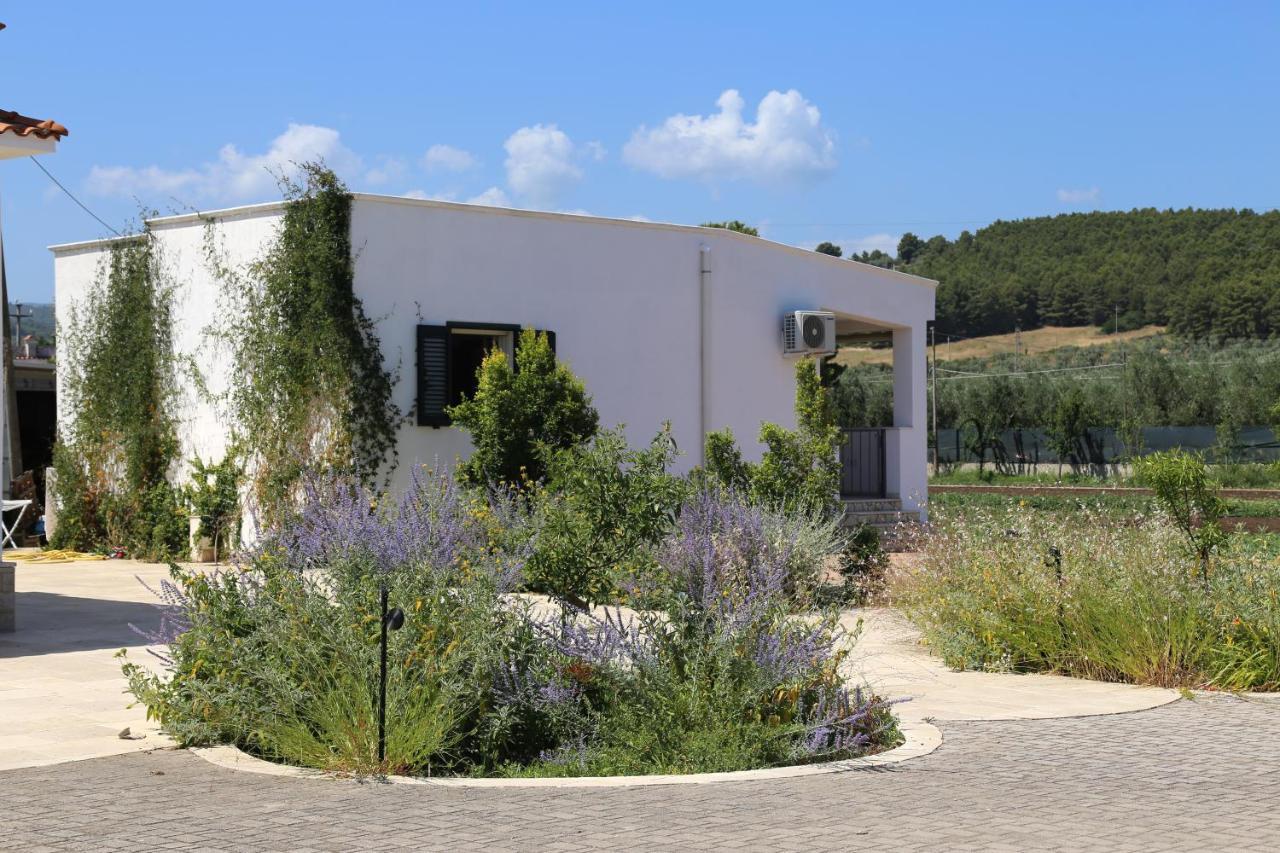 Annaluce Apartments Vieste Exterior foto